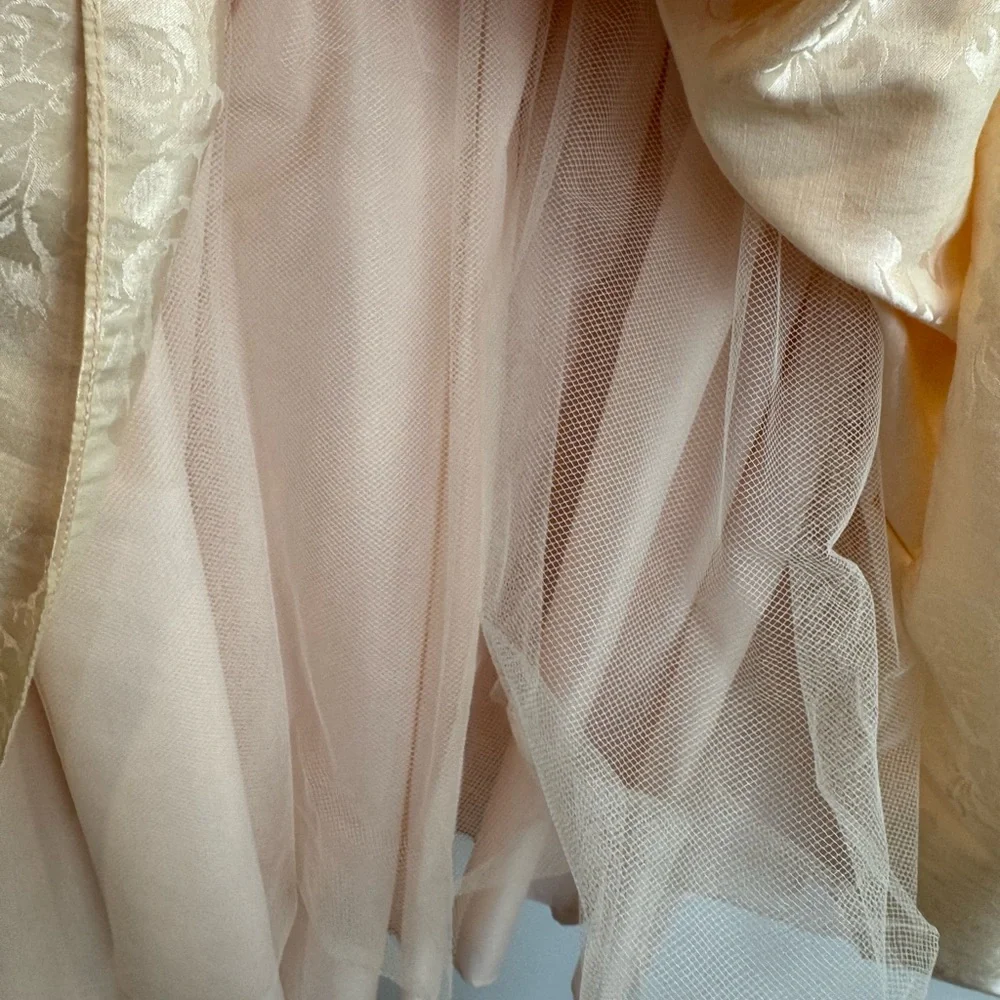 Romantic champagne vintage dress puffy sleeves lace cottagecore tulle - Picture 5 of 16